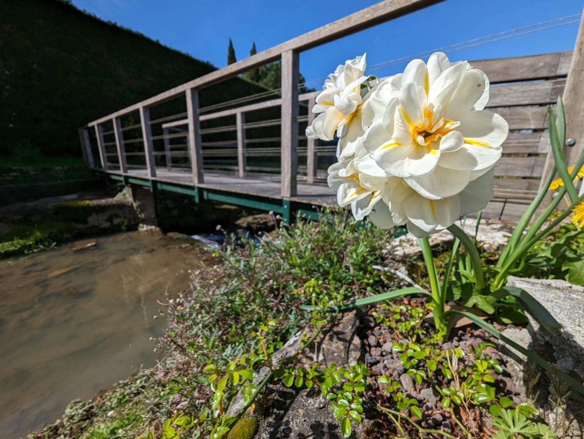 Logis Auberge Du Relais - Hotel & Restaurant Berenx Dış mekan fotoğraf